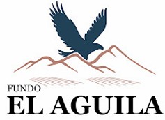 Aguila