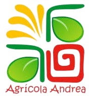Andrea