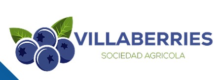 VillaBerries